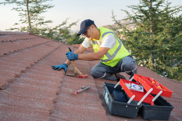 Roof Gutter Cleaning in Laton, CA